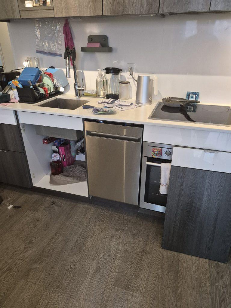 New AEG built-in dishwasher installed under the counter in North York